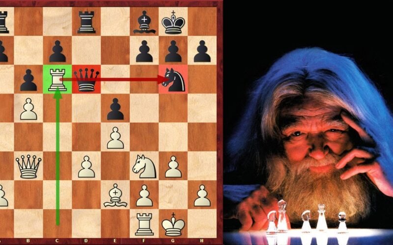 leela zero chess