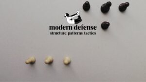 Understanding the Modern Defense · Tomic – Horvat, Road to GM, Game 390