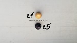 1…e5 Repertoire for Black (against the Spanish, Italian, Scotch, Vienna, King’s Gambit…)