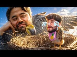 FALCON VS FALGONE??